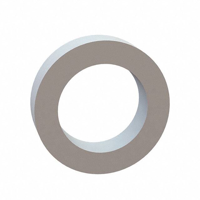 17W02520 Essentra Components  Rondelle